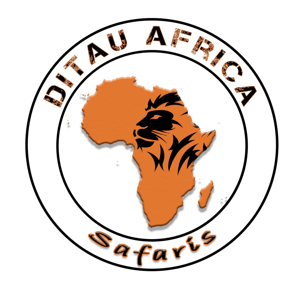 Ditau logo